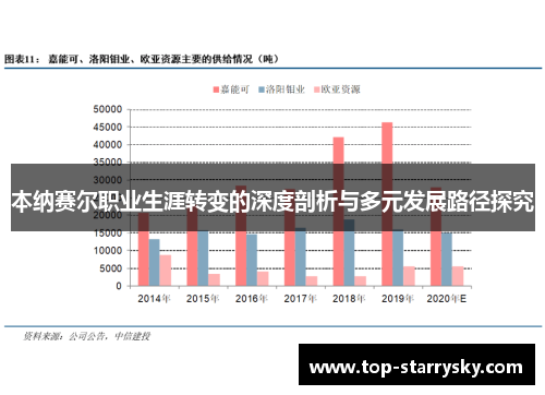 本纳赛尔职业生涯转变的深度剖析与多元发展路径探究