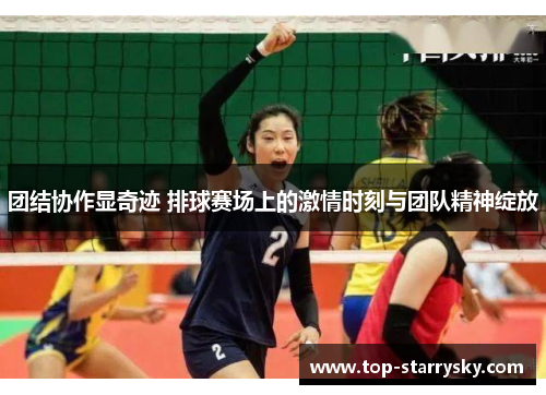 团结协作显奇迹 排球赛场上的激情时刻与团队精神绽放