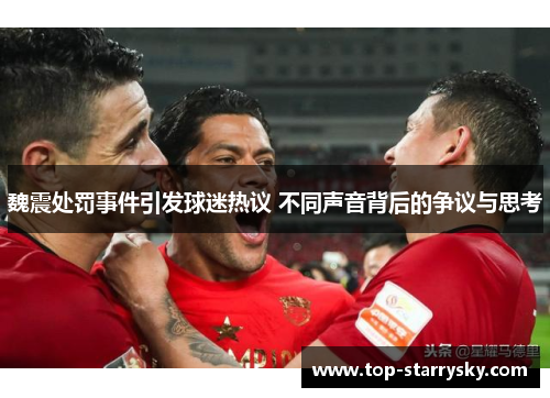 魏震处罚事件引发球迷热议 不同声音背后的争议与思考
